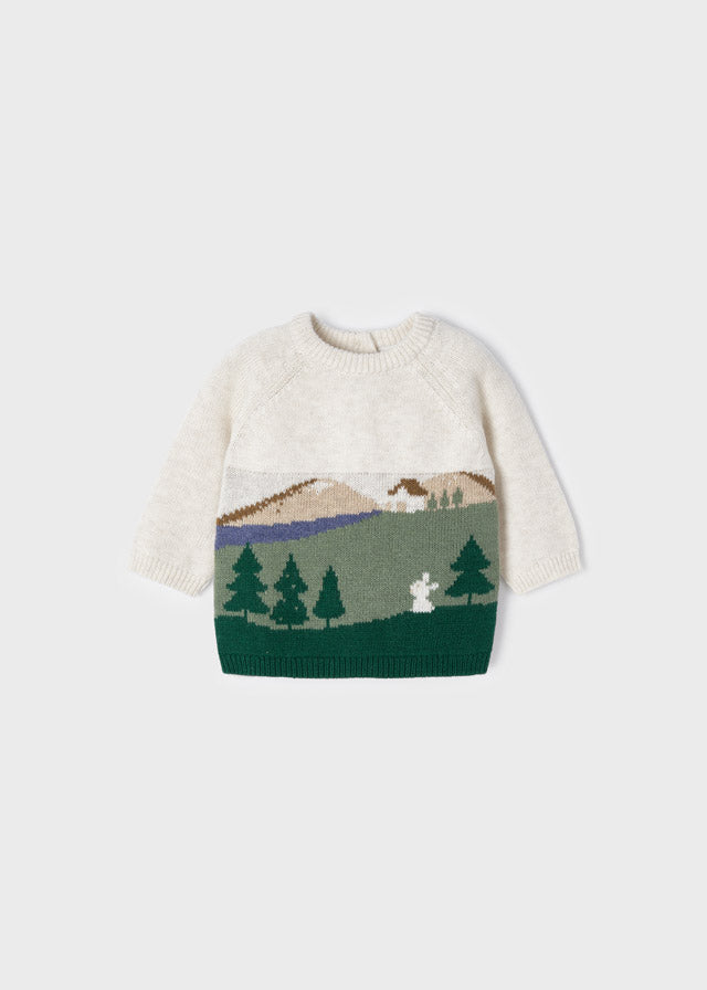 2397 Forest Jacquard sweater newborn boy